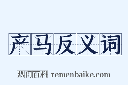 产马反义词是什么意思的图片